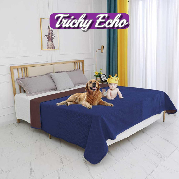 Trichy Echo Moroccan Fuzzy Pet Polyester Blanket Wayfair